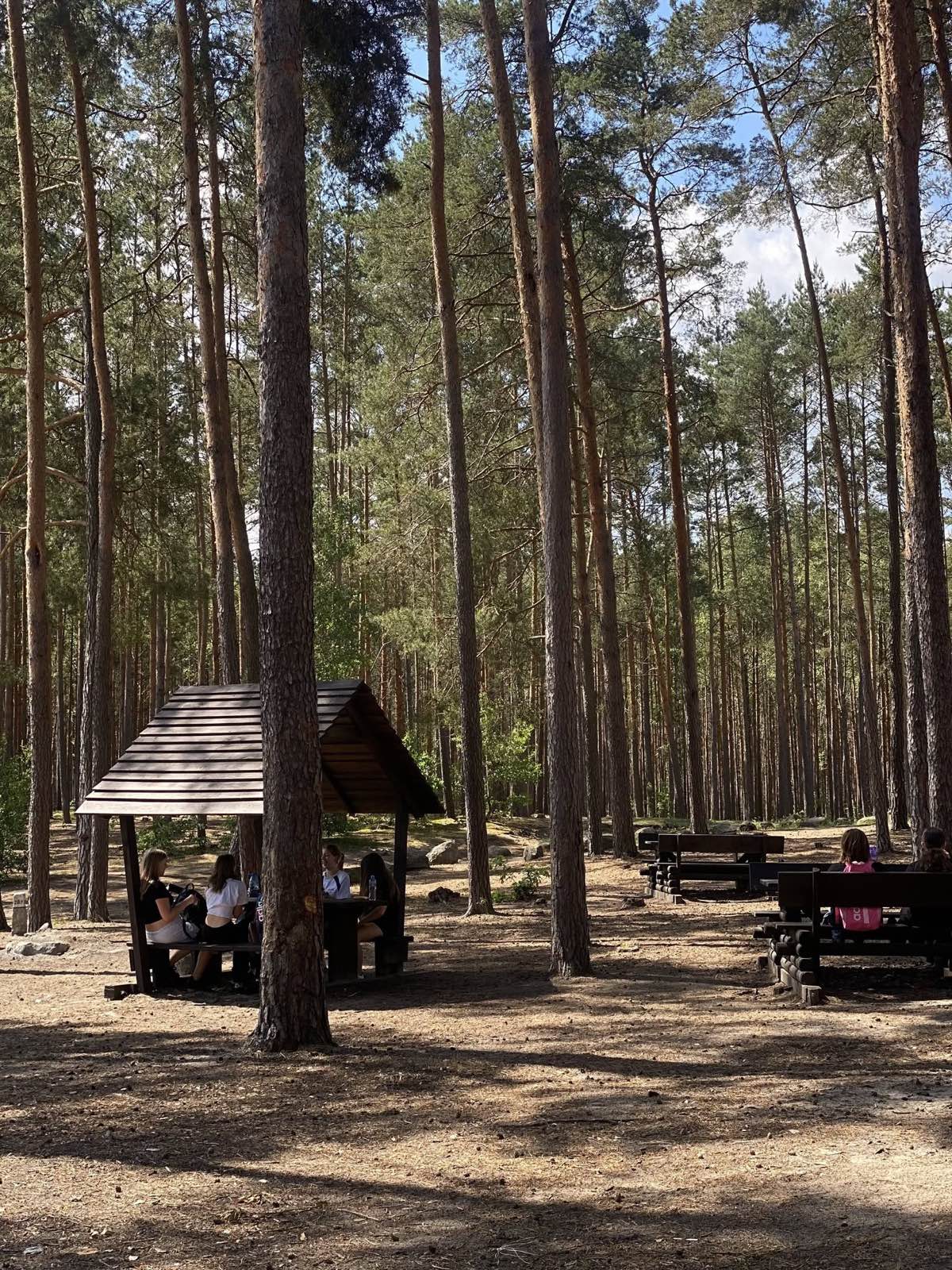 Drewniane wiaty i stoły biesiadne w sosnowym lesie nad jeziorem, przy nich grupy uczniów